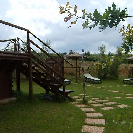Agriturismo Il Forasacco Grosseto Extérieur photo
