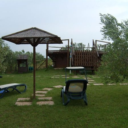 Agriturismo Il Forasacco Grosseto Extérieur photo