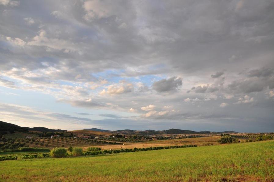 Agriturismo Il Forasacco Grosseto Extérieur photo