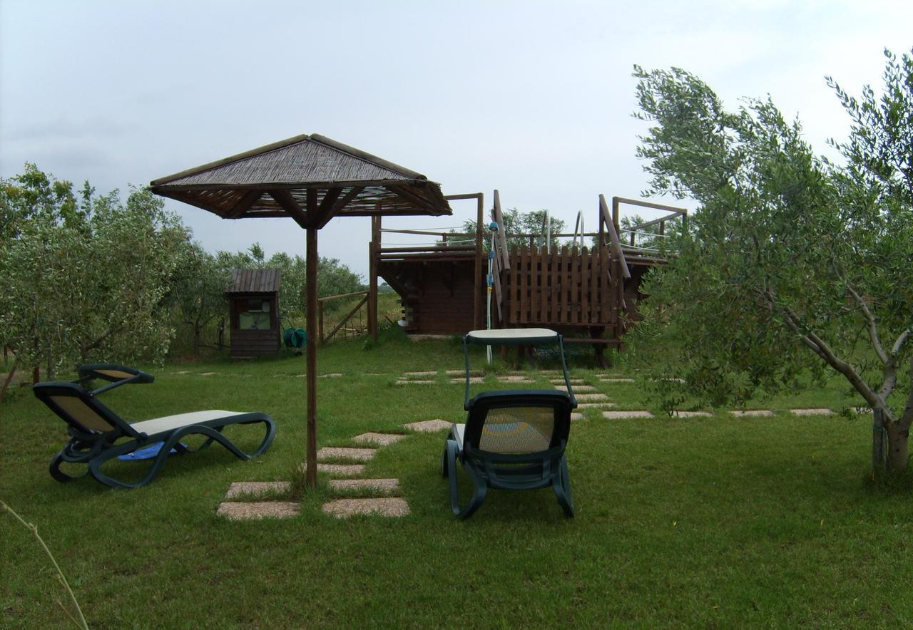 Agriturismo Il Forasacco Grosseto Extérieur photo
